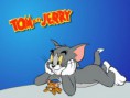 /album/kreslene-obrazky/a1268059755-79184505-1-obrazky-tom-a-jerry-kolekce-12-ti-dilu-18h-zabavy-pro-vase-dite-jpg/